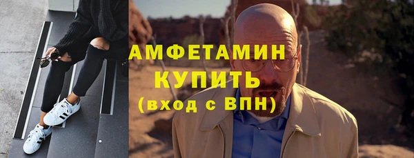 индика Волоколамск