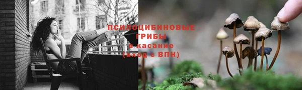 стаф Вяземский